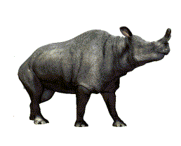 Gif animé rhinocéros ancien