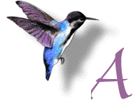 alphabet 132