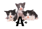 alphabet 273