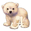 alphabet 311