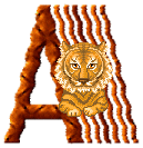 alphabet 316