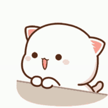 bisou chat