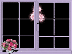 Gifs animés feux d'artifices 20