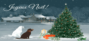 Cartes fêtes de Noël