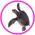 Gifs Tortues aquatiques
