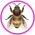 Gif Abeilles