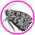 Gif Mites