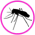 Gif Moustiques