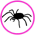 Gif Araignées