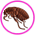 Gif Puces