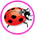 Gif Coccinelles