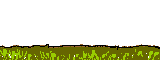 Gif animé taupe creuse