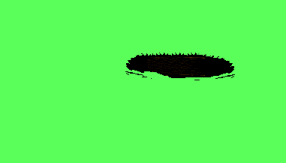 Gif animé taupe ombre